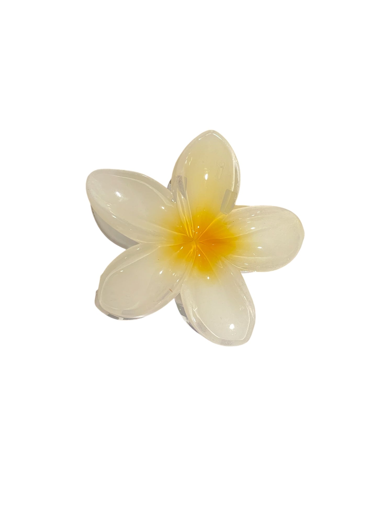 Frangipani Claw Yellow