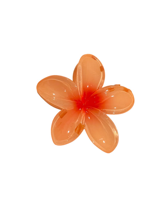 Frangipani Claw Dark Orange