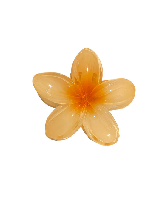 Frangipani Claw Light Orange